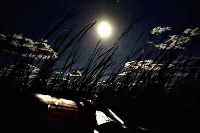 Amelia Full Moon Paddle at Talbot Islands State Park - What is the Amelia Full Moon Paddle?
