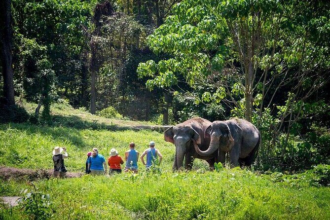 An Afternoon with the Elephants at Phuket Elephant Sanctuary - Analyzing the Value