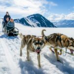Anchorage Area: Helicopter and Glacier Dogsled Tour - Practical Details & Tips for Travelers