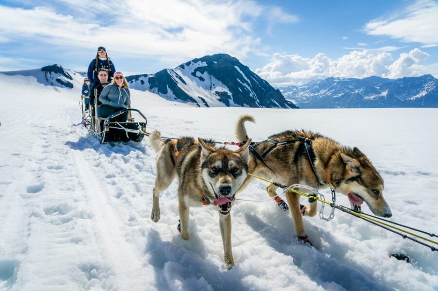 Anchorage Area: Helicopter and Glacier Dogsled Tour - Practical Details & Tips for Travelers