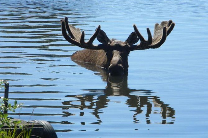 Anchorage to Seward Cruise Transfer and Private Tour - The Value: Is It Worth It?