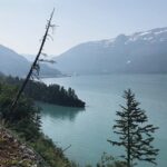 Anchorage to Whittier Wildlife Adventure - The Experience: What You Can Expect
