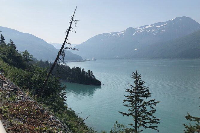 Anchorage to Whittier Wildlife Adventure - The Experience: What You Can Expect