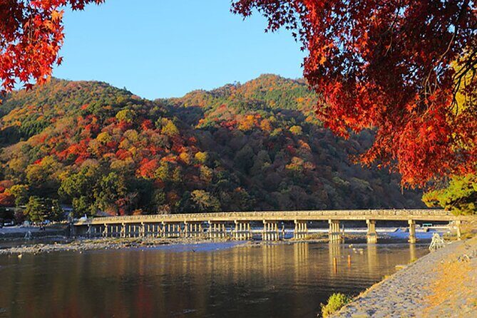 Ancient Capital Tour: Kyoto and Nara Highlights from Kyoto/Osaka - Practical Details & Value