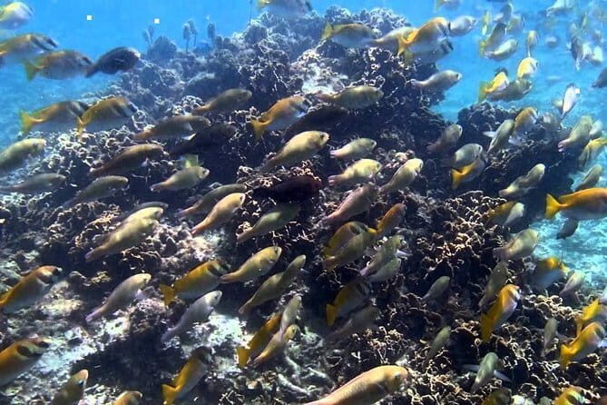 Ang Thong National Marine Park Full Day Tour - Practical Aspects and Considerations