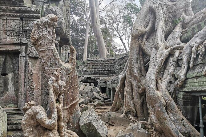 Angkor Cab: Siem Reap 3 day private tour: 'off the beaten track' - What Makes This Tour Stand Out?