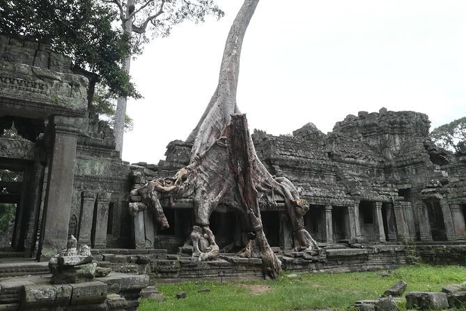 Angkor Grand Circuit Temples Tour - The Itinerary in Detail: What to Expect