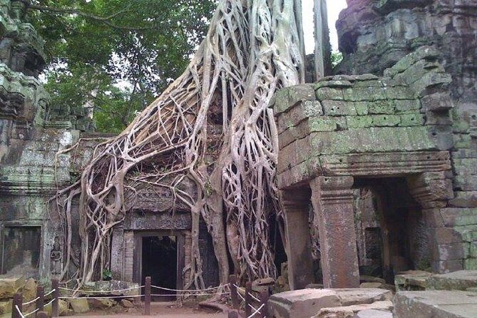 Angkor Wat 2-Day Tour - Why This Tour Is a Great Choice