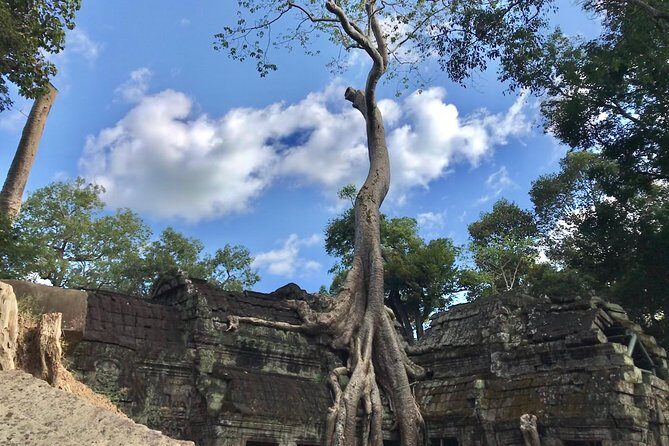 Angkor Wat & Floating Village 3-Day Private Tour - What’s Noteworthy from Reviews
