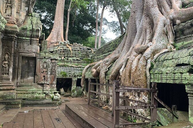 Angkor Wat Sunrise and Tonle Sap Cruise Sunset Tour - Transportation, Guides, and Overall Value