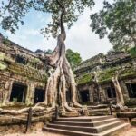 Angkor Wat Sunrise tour with Small - Group and Guide tours - Transportation and Group Size