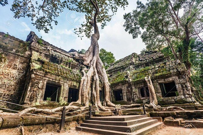 Angkor Wat Sunrise tour with Small - Group and Guide tours - Transportation and Group Size