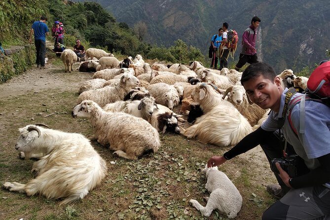 Annapurna: 2 Days 1 Night Poon Hill Trekking - What Makes This Trek Special?