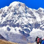 Annapurna Base Camp Trek - Authentic Experiences and Insights from Reviewers