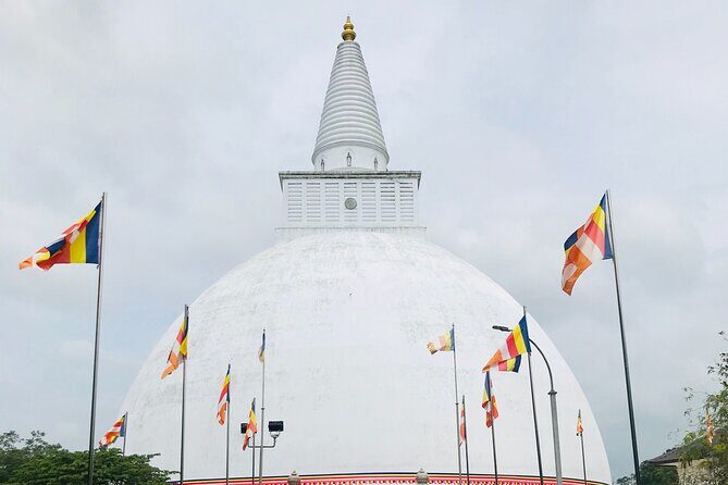 Anuradhapura ancient city tour with Travandgo tours - What Makes This Tour Stand Out?