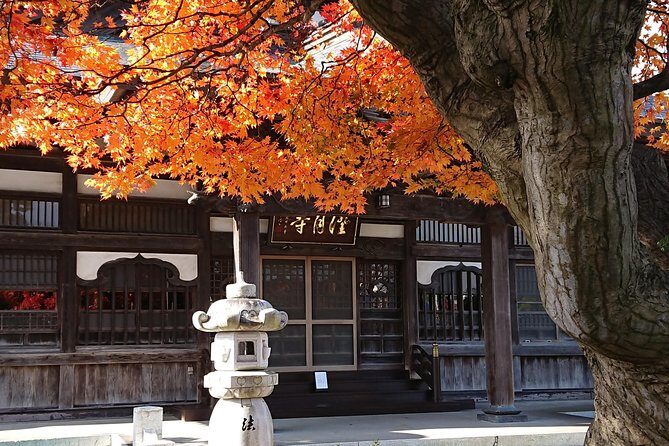 [Aomori Prefecture] Tour the history and architecture in Towada City, the art city - How the Experience Feels from a Traveler’s Perspective