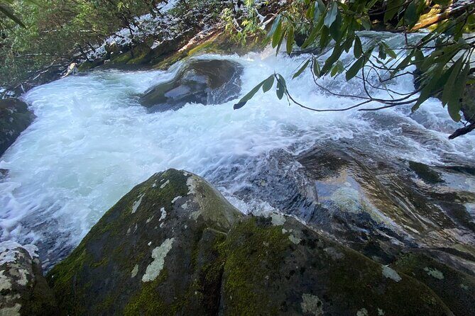 Appalachian Waterfalls Hike - The Guides and Authentic Insights