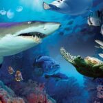 Aquaria KLCC Admission with Kuala Lumpur City Famous Landmarks - The Value of This Experience