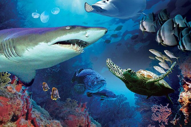 Aquaria KLCC Admission with Kuala Lumpur City Famous Landmarks - The Value of This Experience