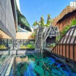 Aquarium Phuket and AR Trick Eye Museum Combo Tickets - Who Is This Tour Best For?