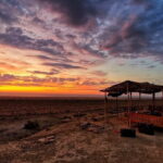Aral Sea Adventures (2 day) - A Deep Dive into the Two-Day Aral Sea Adventure