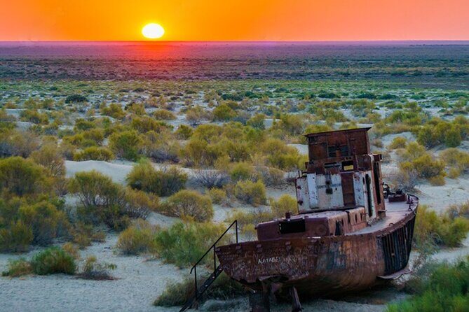 Aral Sea One Day Tour from Tashkent - Authentic Experiences and Practical Considerations