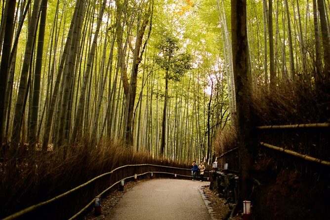 Arashiyama Bamboo Forest E-Biking Tour - What to Expect from the Ride