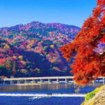 Arashiyama Bamboo & "Must See" Gardens with an Amazing Guide - The Tour’s Strengths & Considerations