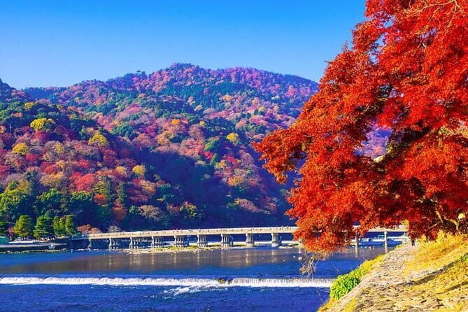 Arashiyama Bamboo & "Must See" Gardens with an Amazing Guide - The Tour’s Strengths & Considerations