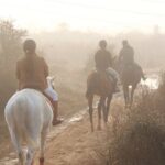Aravali Trail Experience( Jungle Safari Forest area)- Horseback Riding - What Makes This Experience Stand Out?