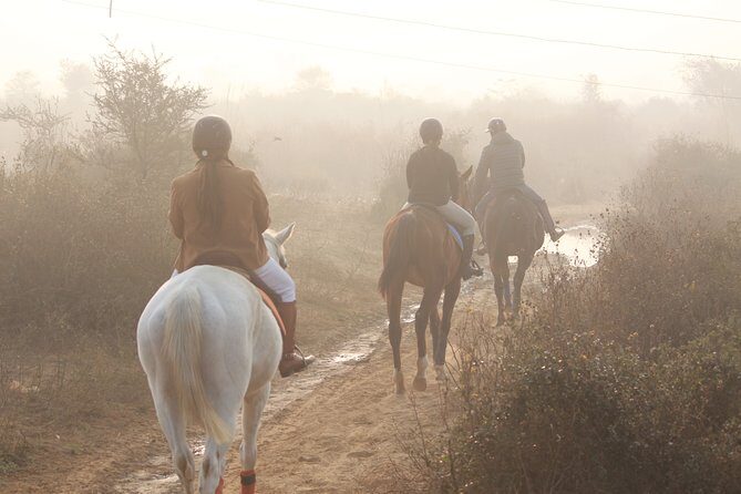 Aravali Trail Experience( Jungle Safari Forest area)- Horseback Riding - What Makes This Experience Stand Out?