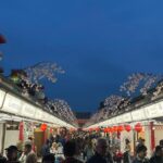 Asakusa Traditional Experience - Who Should Consider This Tour?