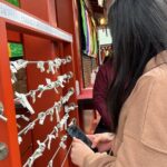 Asakusa & Ueno (Ameyoko)Tour - Who Will Love This Tour?