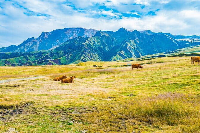 Aso Vocano, Grassland,Onsen and Aso shrine 1-Day Tour - Final Thoughts: Who Will Love This Tour?