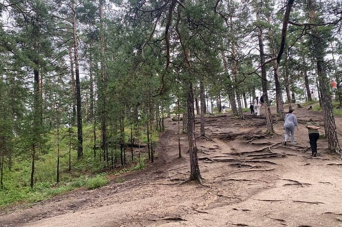 Astana: Burabay Oasis National Park: Private All Inclusive Tour - Final Thoughts: Who Should Book This Tour?