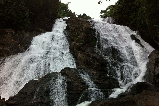 Athirapally Waterfalls from Cochin - FAQ