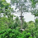 ATV And Zipline Experience on Koh Samui with Transfer - Price and Value