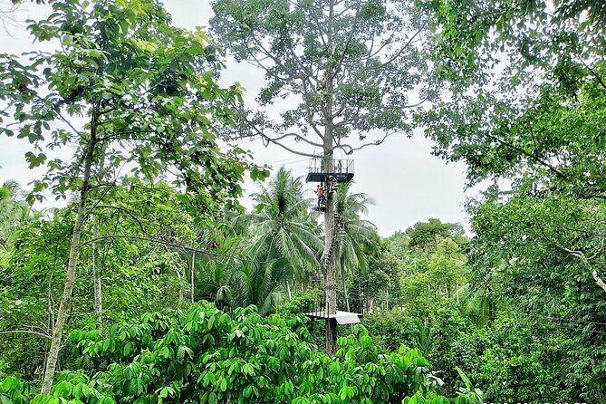 ATV And Zipline Experience on Koh Samui with Transfer - Price and Value