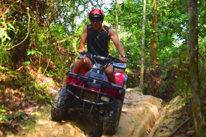 ATV Nature Off-road Ride through Rainforest with Private Pickup - Who Should Consider This Tour?