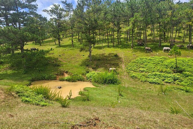 ATV Tour In The Dalat Mountains - Scenic Stop at Da Phu Hill