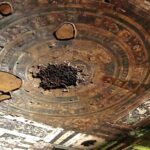 Audio Guided Walking Tour of Ajanta Caves, Aurangabad on HopOn India App - Frequently Asked Questions