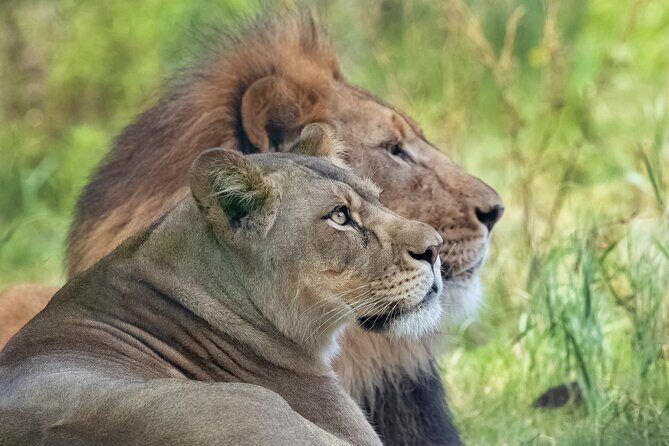 Audubon Zoo Ticket - The Sum Up: Who Will Appreciate Audubon Zoo?