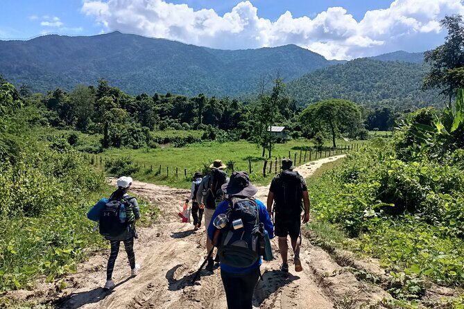 Aural Mountain Trek: Cambodia Tallest Peak Challenge - What Makes This Tour Stand Out?