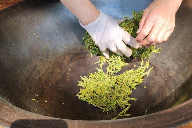 Authentic Hangzhou Longjing Tea Culture Experience Tour - Highly Rated Guides and Personal Touches
