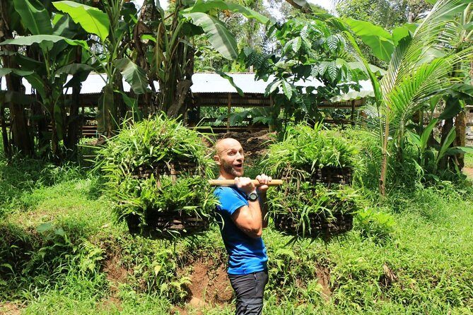 Authentic hike in the forest with lunch at the inhabitant - FAQ