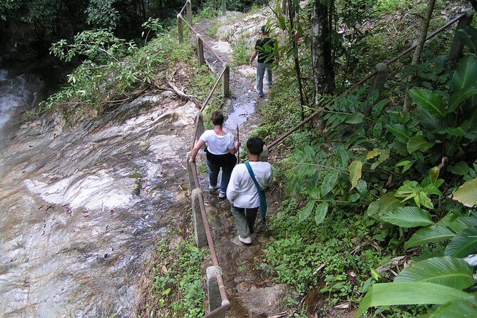 Authentic Mae Kham Pong Village Cultural Experience - Why Travelers Love this Experience