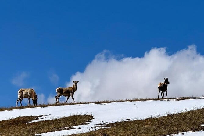 Authentic Mongolian two days tours in Terelj & Khustai National P - Wildlife Watching and Nature Relaxation