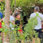 Authentic Thai Cooking with Visit Local Market - The Sum Up
