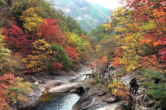 Autumn Foliage-Mt. Seorak, Sokcho Beach, Market, Observatory - Exploring the Tour in Detail