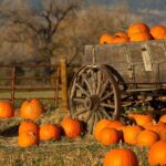 Autumn Romance Escape: A Nashville Couples' Getaway - What’s Included and What to Consider